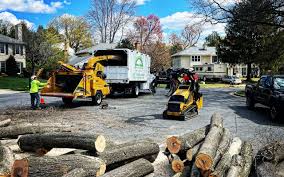Best Hazardous Tree Removal  in Manchester, KY
