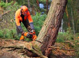 Mulching Services in Manchester, KY